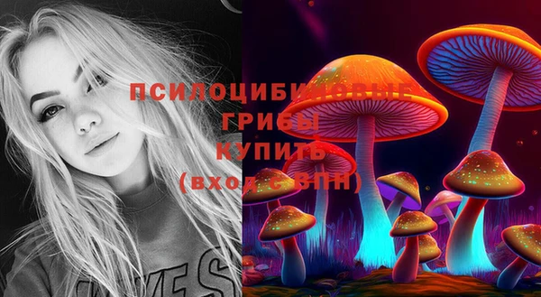 соль курить ск Аркадак