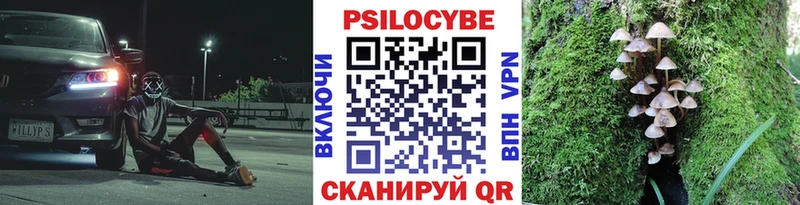 Купить закладки  Гудермес  Псилоцибиновые грибы Psilocybe 